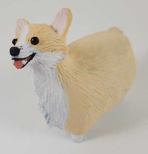 Corgial Corgi