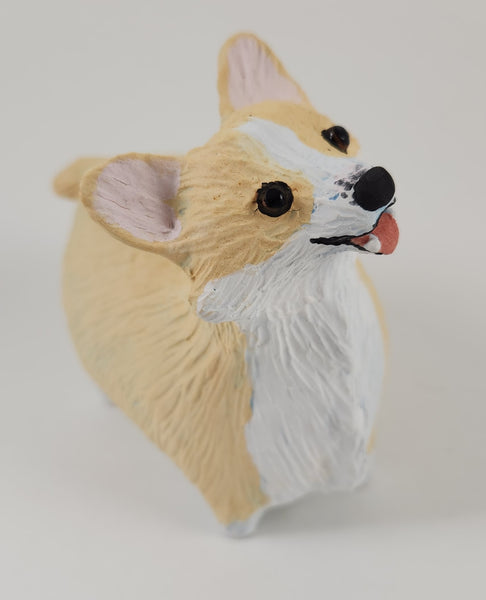 Corgial Corgi