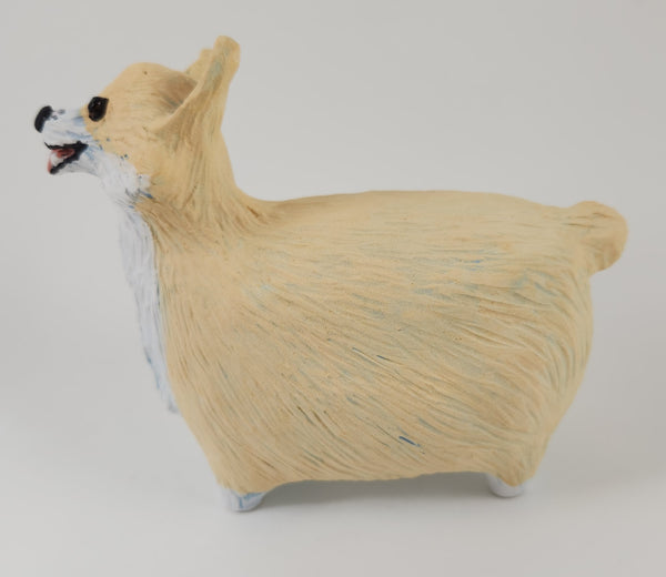 Corgial Corgi