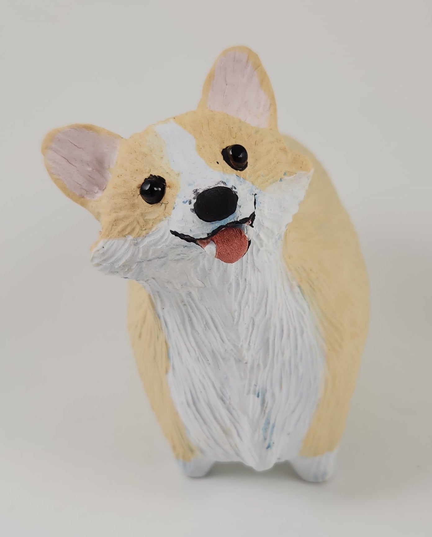 Corgial Corgi